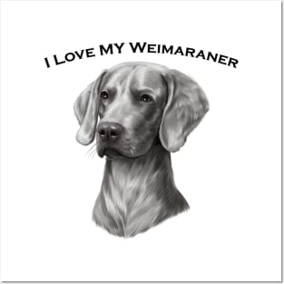 Weimaraner Dog Posters and Art